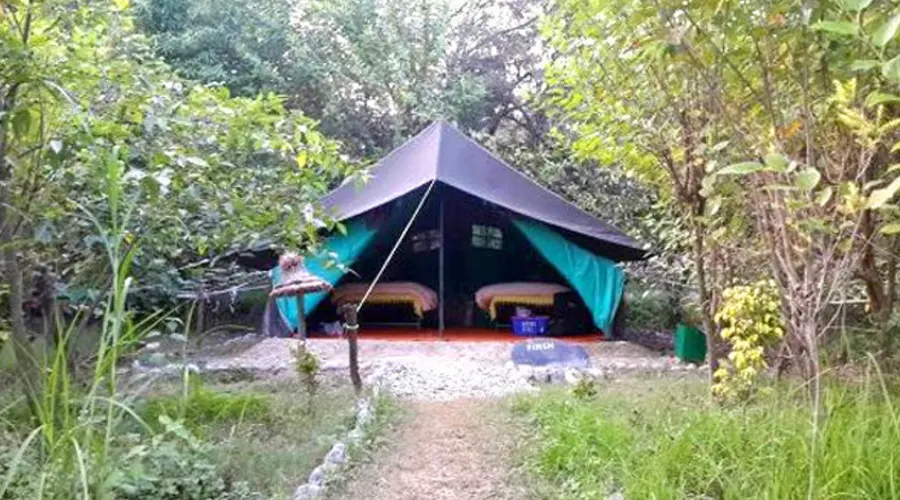 Camping At Jim Corbett
